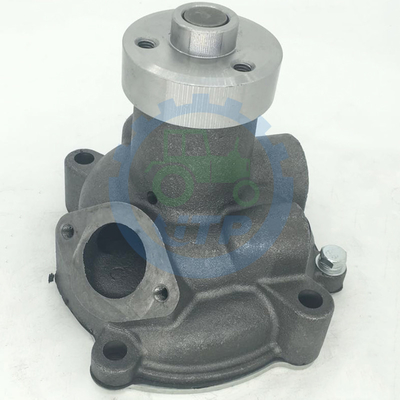 Pumpe des Wasser-8013363 99454833 504065104 für neues Holland TD90 TD95